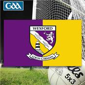 Wexford GAA 5ft x 3ft County Flag - Purple/Gold - Purple; O/S image