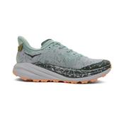 Womens Speedgoat 6 GTX Trainers - Jade/Ash Grey - Grey; UK 6.5 image
