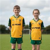 Donegal GAA Home Jersey 26 - Kids - Green/Gold - Yellow; Age 5/6 image