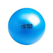 Anti-Burst 300kg Gym Ball - 55cm - Blue - Blue; O/S