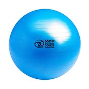 Anti-Burst 300kg Gym Ball - 65cm - Blue - Blue; O/S image