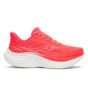 Saucony Triumph 24 Women's