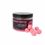 CC Moore Northern Specials NS1 Pop Ups