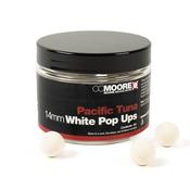 CC Moore Pacific Tuna Pop Ups