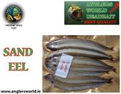 Rebel Pike Sandeel Dead Bait