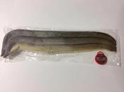 Rebel Pike Freshwater Eels