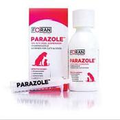 Parazole Cat &amp;amp; Dog Liquid Wormer - 100ml image
