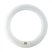 Osram T9 Lumilux Circline 22W - 827 Extra Warm White | 21.5cm
