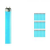 Multipack 25x Philips MASTER TL - D 36W - Blue | 120cm