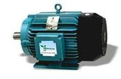 3 Phase Electric Motor- POA