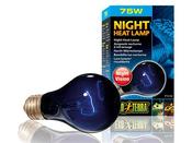 Exo Terra Night heat Lamp 75w