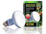 Exo Terra Daylight Basking Lamp 100W image