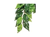 Exo Terra Silk Plant Ficus Medium