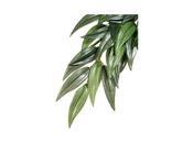 Exo Terra Silk Plant Rucus Large