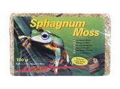 Lucky Reptile Sphagnum Moss