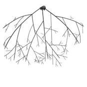 106cm Metal Branch Wall Bracket