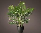40 Micro LED star plant lights (silver; warm white) image