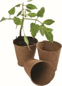 8cm Round Fibre Pots 12Pk