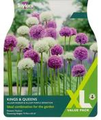 Allium Kings &amp; Queens XL (18 bulbs) image