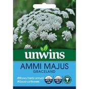 Ammi Majus Graceland image
