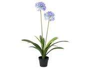 Artificial agapanthus in pot, blue image