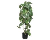 Artificial anthurium in pot image