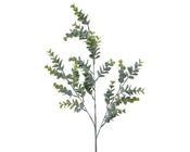Artificial Eucalypthus image