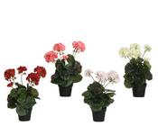 Artificial geranium in pot