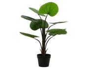 Artificial Licuala Palm image
