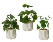 Artificial scindapsus, lotus leaf or monstera image