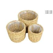 Basket Manatee (20cm dia.)