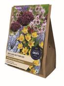 Bees And Butterflies Collection (50 bulbs)