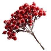 Berry Bundle with Hip (14cm) image