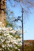 Bird Shepherds Crook image