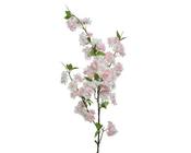 Blossom polyester image