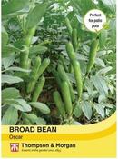 Broad Bean Oscar