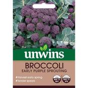 Broccoli (Sprouting) Early Purple Sprouting image