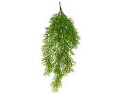 Bush cinnamomum spray