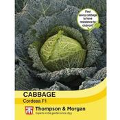 Cabbage Savoy 'Cordesa' F1 Hybrid (10) image