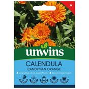 Calendula Candyman Orange (150) image