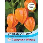 Chinese Lanterns (110)