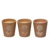 Citronella candle in flower pot image