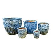 Coin Planter (27cm dia.) image