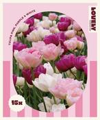 Combi Tulip Pink,Purple,White (15 bulbs) image