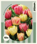 Combi Tulipa Double Symbiose Blend (12 bulbs) image