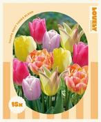 Combi Tulip Soft Tones Blend (15 bulbs) image