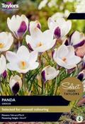 Crocus Panda (7 bulbs) image