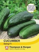 Cucumber Swing F1 Hybrid