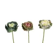 Decorative cabbage on stem image