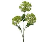 Dill Flower Spray in green